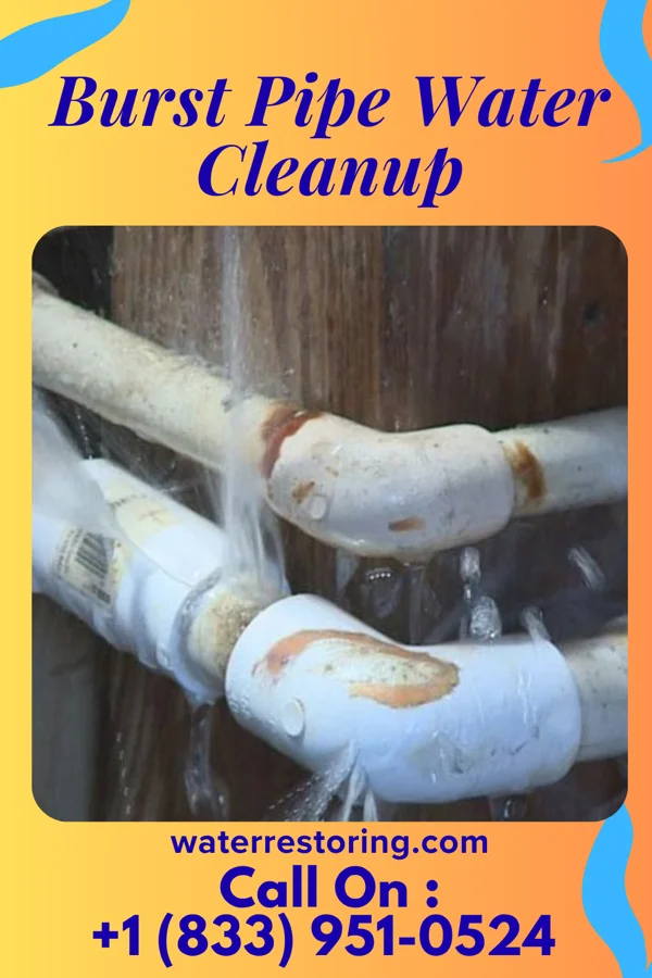 Burst Pipe Water Cleanup in Goodhue, MN