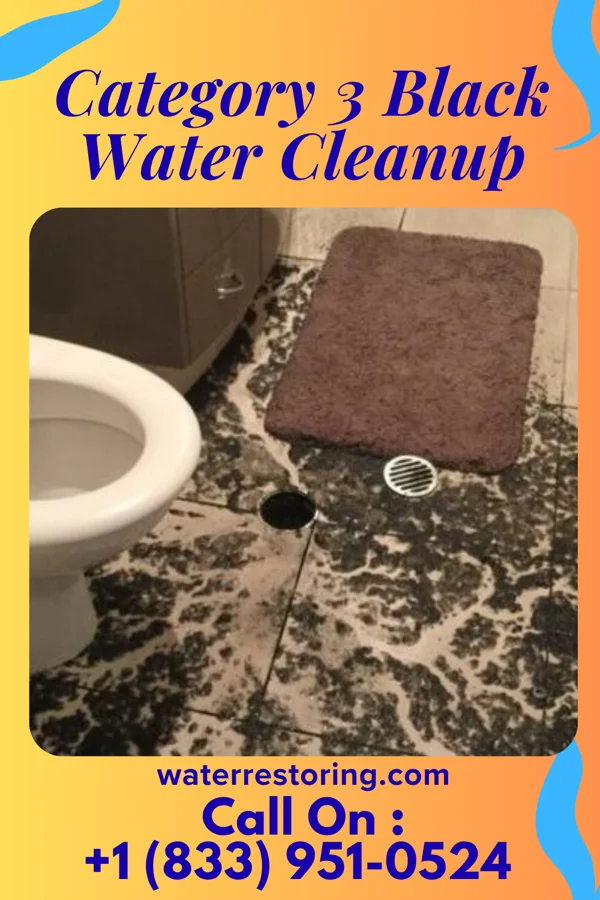 Category 3 Black Water Cleanup in Goodhue, MN