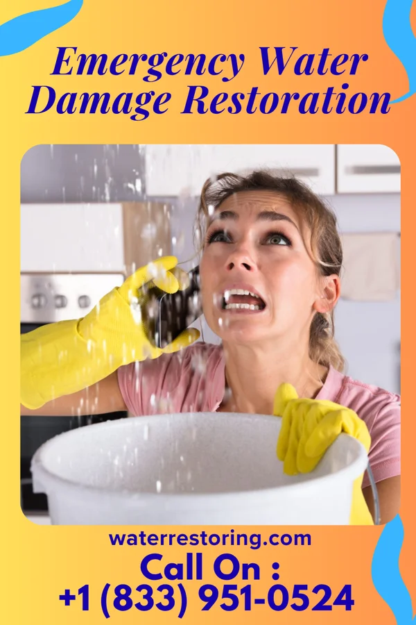 Emergency Water Damage Restoration in Goodhue, MN